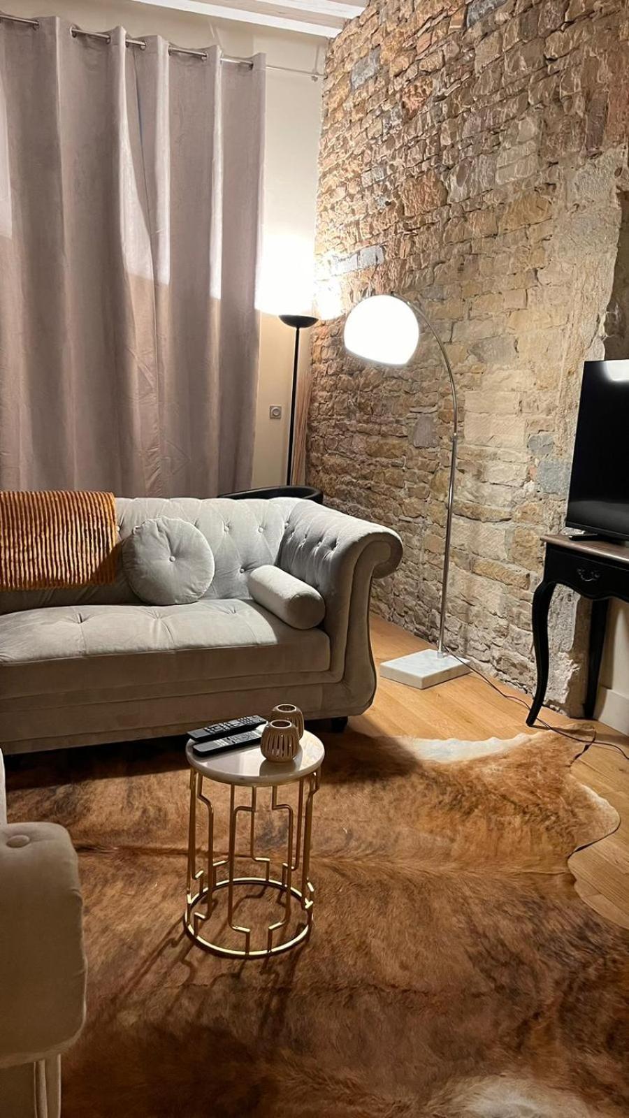 Le Panorama Apartman Lyon Kültér fotó